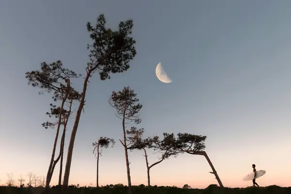 抖音收入怎么提现到零钱