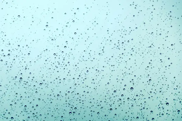 抖音怎么赚钱?9个利用抖音赚钱项目!
