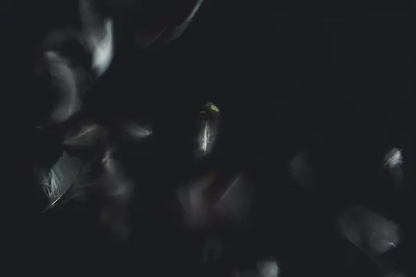 抖音直播双击屏幕要钱吗?有上限吗?