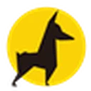 ITDOG