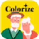 Image Colorizer