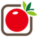 学种菜网