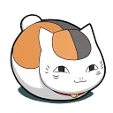 影猫の仓库
