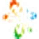 中国会计视野