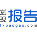 发现报告