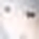 SubsPlease