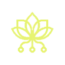 Pollinations