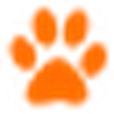 波奇网