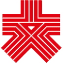 大公网