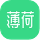 薄荷网