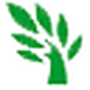 标准三围自测