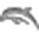 Dolphin Emulator